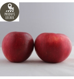 Pommes «Akane» (kg)