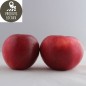 Pommes «Akane» (kg)