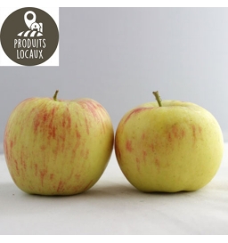 Pommes «Delcorf» (kg)