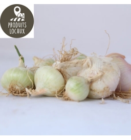 Oignons blancs