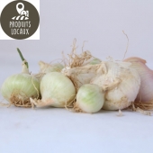 Oignons blancs