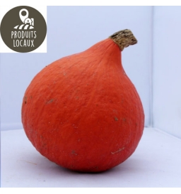 Potimarron Orange (environ 1.5 kg)
