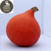 Potimarron Orange (environ 1.5 kg)