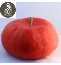 Potiron rouge vif d’Etampes (environ 3kg)