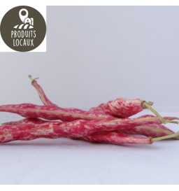 Haricots à écosser rouges (Kg)