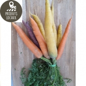 Botte de carottes couleurs