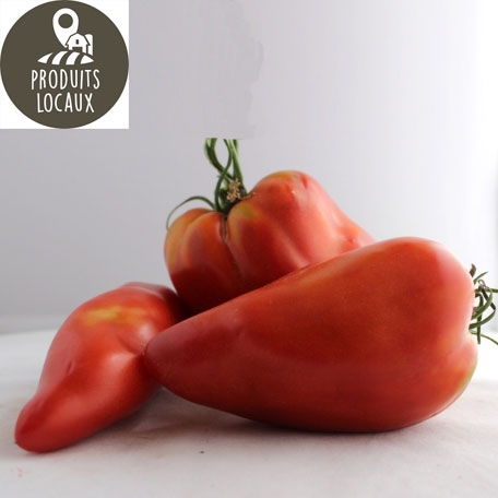 Tomates “Andine Cornue“ (kg)