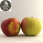 Pommes «Reine des reinettes» (kg)