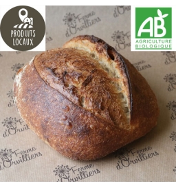 pain de campagne BIO (500g)