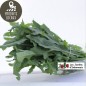 Barquette de roquette