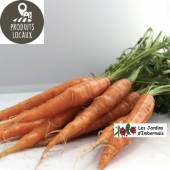 Botte de carottes nouvelles