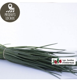 Bouquet de ciboulette