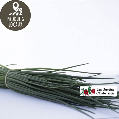 Bouquet de ciboulette