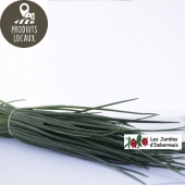 Bouquet de ciboulette