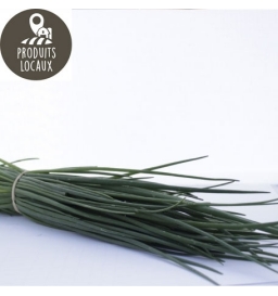 Bouquet de ciboulette