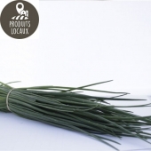 Bouquet de ciboulette