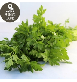 Bouquet de persil plat