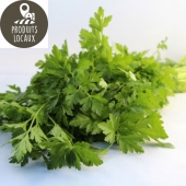 Bouquet de persil plat