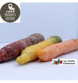 carottes de couleurs