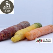 carottes de couleurs
