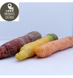 Carottes de couleurs (jaunes/violettes) (kg)