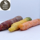 Carottes de couleurs (jaunes/violettes) (kg)