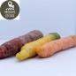 Carottes de couleurs (jaunes/violettes) (kg)