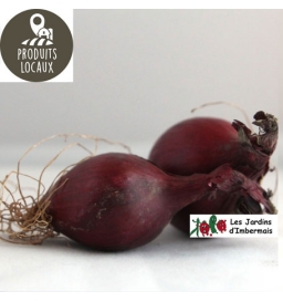 Oignons rouges