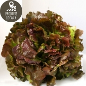 Salade Batavia rouge