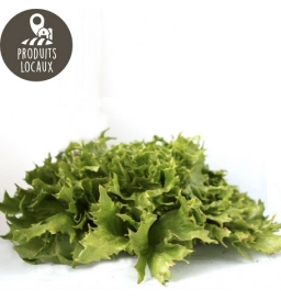 Salade Iceberg (reine des glaces)