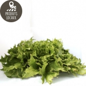 Salade Iceberg (reine des glaces)