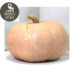 Potiron Bleu de Hongrie (environ 3 kg)