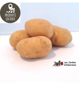 PDT «Gourmandine»