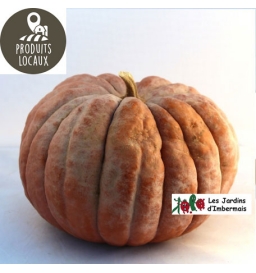 potiron musque de provence