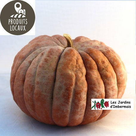 Potiron musqué de Provence  (environ 3 kg)