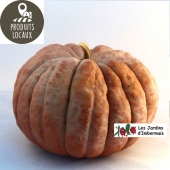 potiron musque de provence