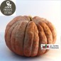 Potiron musqué de Provence  (environ 3 kg)