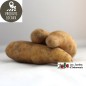 PDT  «Ratte» (kg)