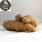 PDT  «Ratte» (kg)