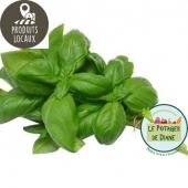 Bouquet de basilic