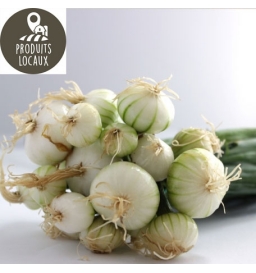 Botte d’oignons blancs
