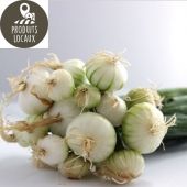 Botte d’oignons blancs