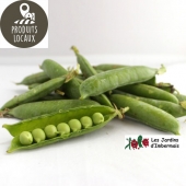 Petits pois frais à écosser