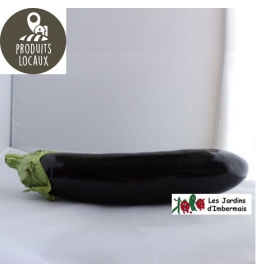 aubergine
