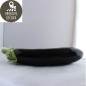 Aubergines (kg)