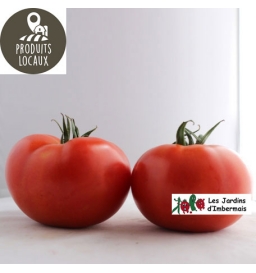 tomates