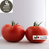 tomates