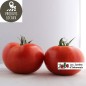 Tomates (kg)