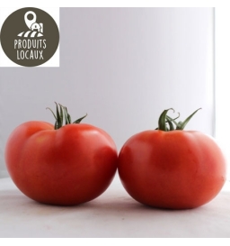 Tomates (kg)