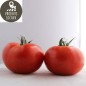 Tomates (kg)